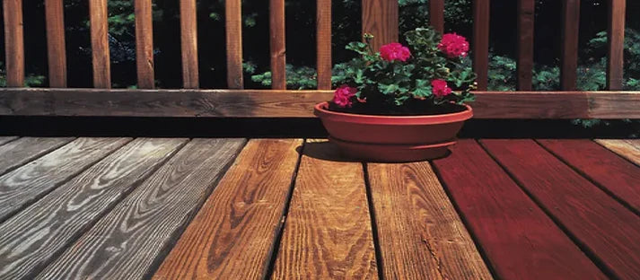 Sun Frog Outdoor Cleaner Paint And Stains
