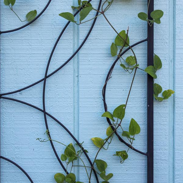 2 Pieces Corona Trellis Corona Trellis