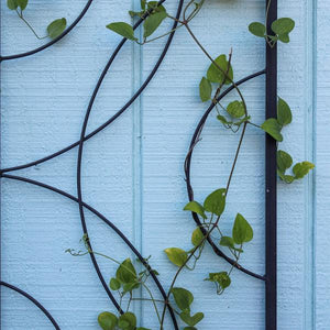 2 Pieces Corona Trellis Corona Trellis