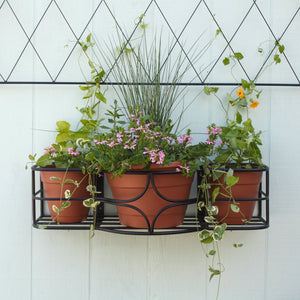 Argyle Window Box Window Box