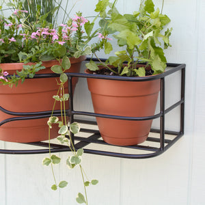 Argyle Window Box Window Box