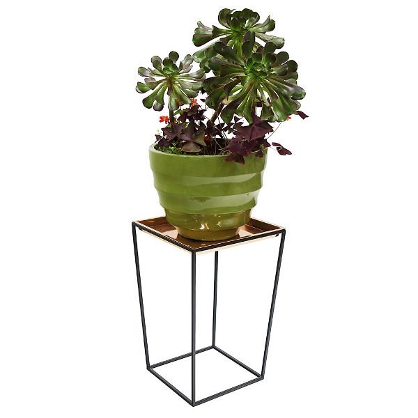 Arne Plant Stand Plant Stands