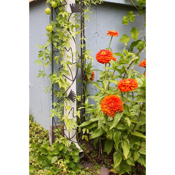 Downspout Garden Trellis Garden Trellis