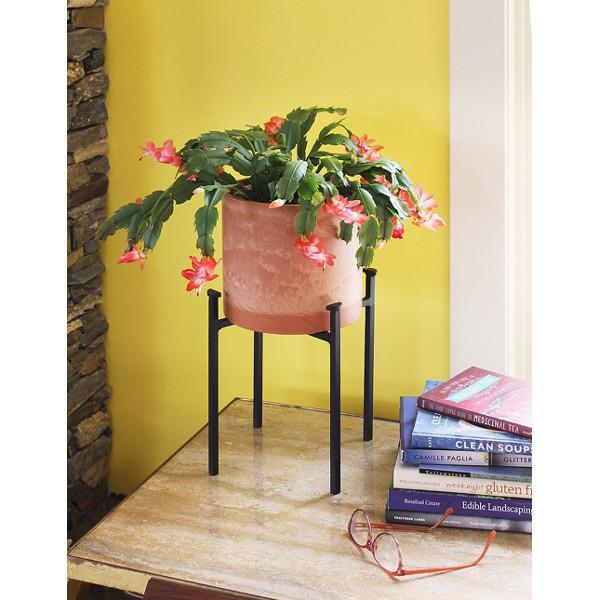 Eileen Planter Planter