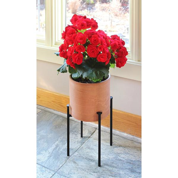 Eileen Planter Planter