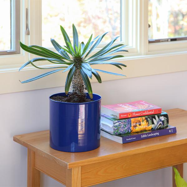 Eileen Planter with Steel Patina Pot Patina Pot