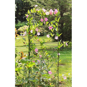 Ferro Firenze Garden Trellises Garden Trellises