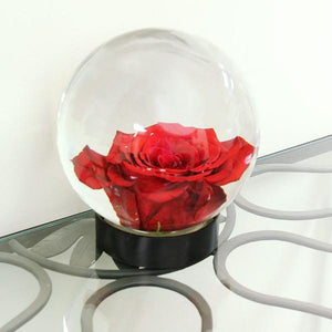 Flower Aquarium Flower Aquarium