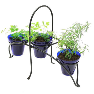 Herb Caddy Herb Caddy