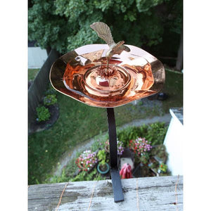 Hummingbird Birdbath Birdbath