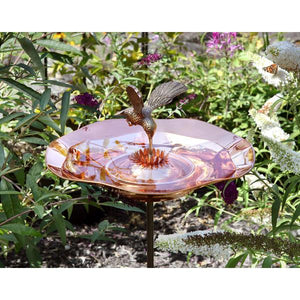 Hummingbird Birdbath Birdbath