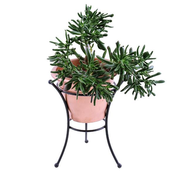 Multi Use Stand Stand