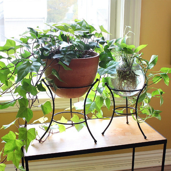 Multi Use Stand Stand