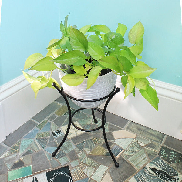 Multi Use Stand Stand