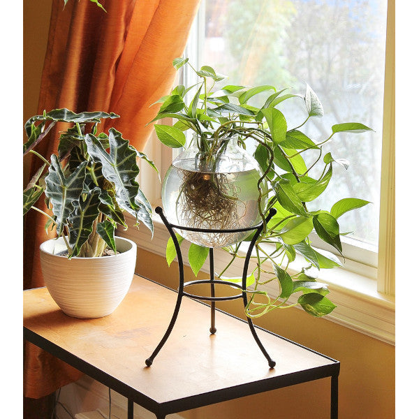 Multi Use Stand Stand