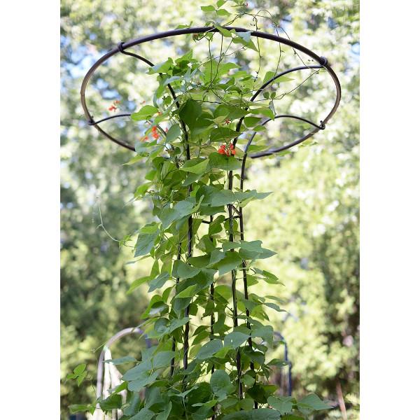 Mushroom Trellis Trellis