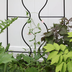 Orangery Garden Trellis Set Garden Trellis Set