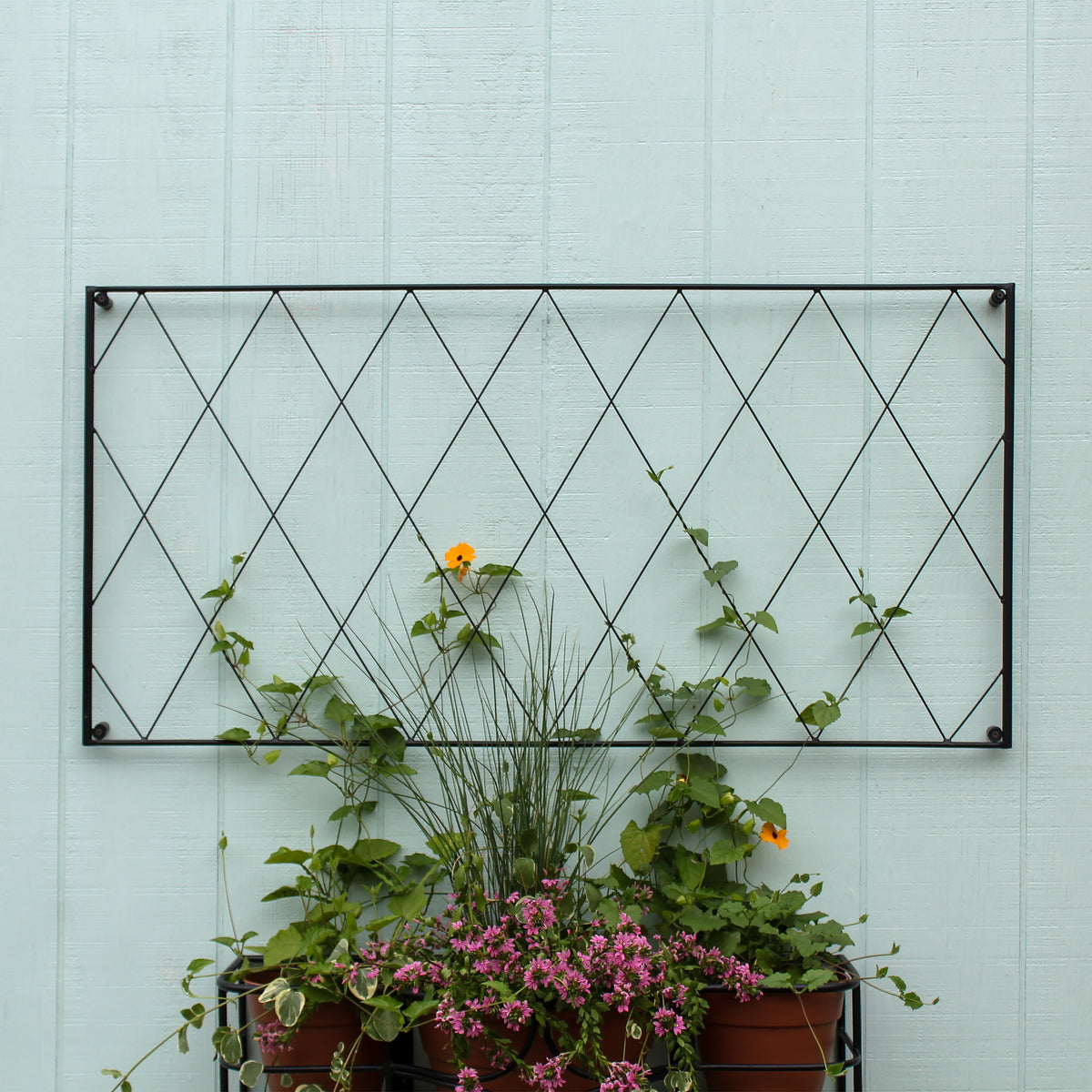 Oxfordshire Trellis Extension Trellis Extension