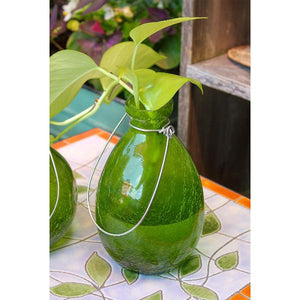 Rooting Vase Vase