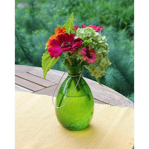 Rooting Vase Vase