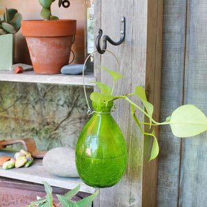 Rooting Vase Vase