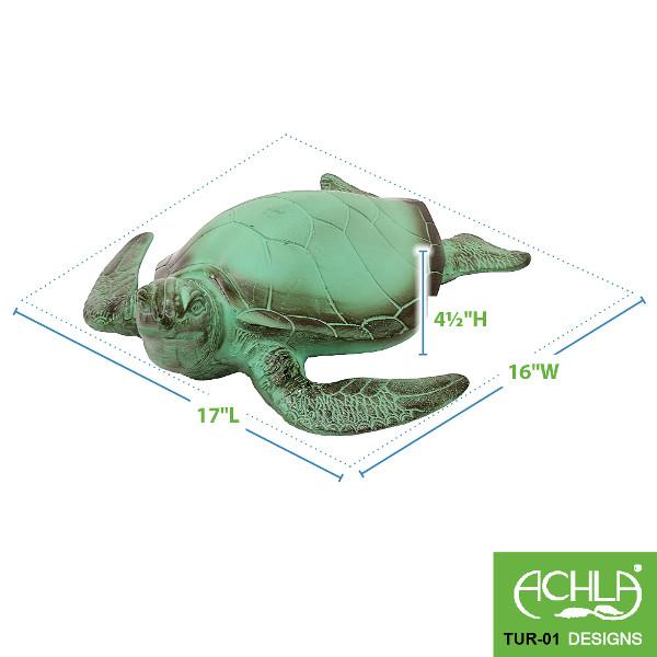 Sea Turtle Turtle