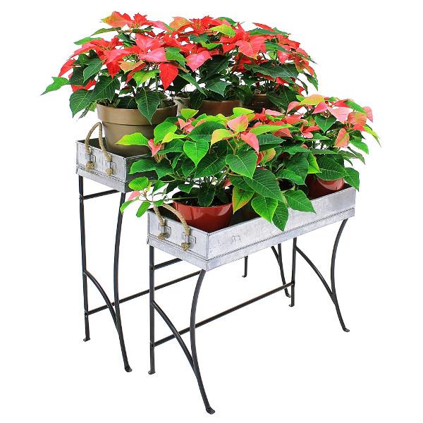 Trestle Plant Stand Plant Stand