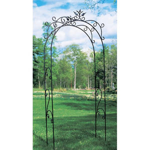 Tuileries Arbor Arbor