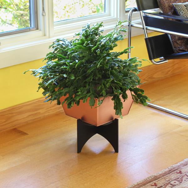Zaha Planters with Copper Plated Boxes Plated Boxes